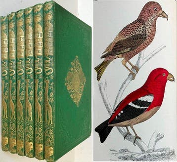Oliver Goldsmith - A History of the Earth and Animated