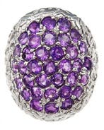 Zilver, Het Erfgoed van de Hoge Dignitarissen - Ring met
