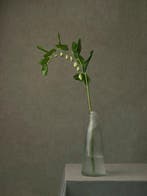 Tessa Posthuma de Boer - Lily of the valley