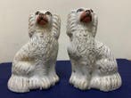Figuur - Cani Staffordshire (2) - Keramiek, Antiek en Kunst