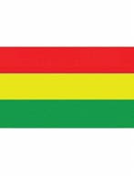 Vlag Carnaval 150x90cm rood/geel/groen, Ophalen of Verzenden, Nieuw