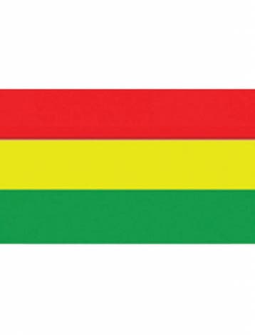 Vlag Carnaval 150x90cm rood/geel/groen, Ophalen of Verzenden, Nieuw