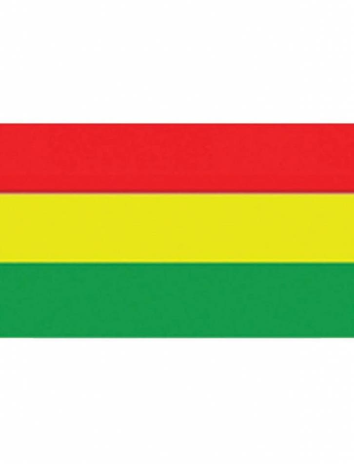 Vlag Carnaval 150x90cm rood/geel/groen, Hobby en Vrije tijd, Feestartikelen, Nieuw, Ophalen of Verzenden