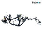 Kabelboom Kawasaki Ninja 250R 2008-2012 (EX250J), Verzenden, Gebruikt