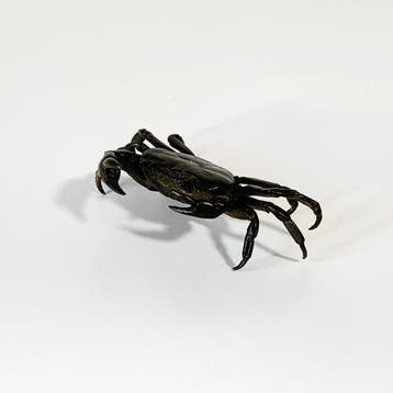 Bronze Crab Okimono - sculptuur Brons - Japan (Zonder