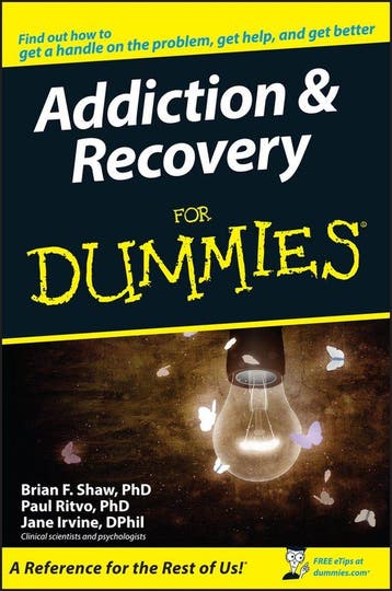 Addiction and Recovery For Dummies - Paul Ritvo, Boeken, Verzenden, Gelezen, Paul Ritvo