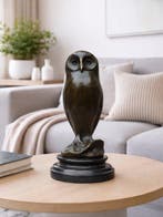 sculptuur, Young owl - 2,2 kg - 25 cm - Gepatineerd brons