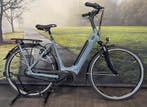 Gazelle Grenoble C7+ Elite elektrische fiets – Bosch E-Bike, Fietsen en Brommers, Ophalen of Verzenden, Zo goed als nieuw, 51 tot 55 cm