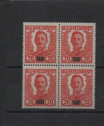 Oostenrijk 1919/1919 - Oostenrijkse rariteit: de 20 Bani,, Gestempeld