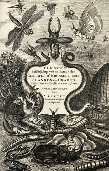 Matthäus Merian (b1593) - engraved title-page. Insects