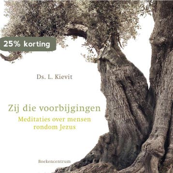 Zij die voorbijgingen - L. Kievit 9789023954873, Verzenden, Zo goed als nieuw, L. Kievit