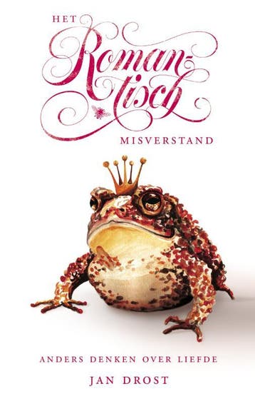 Het romantisch misverstand - Jan Drost 9789023458340, Verzenden, Gelezen, Jan Drost