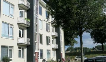 Te Huur 2 Kamer Appartement Reigerstraat In Dordrecht, Dordrecht, Direct bij eigenaar, Appartement, Zuid-Holland