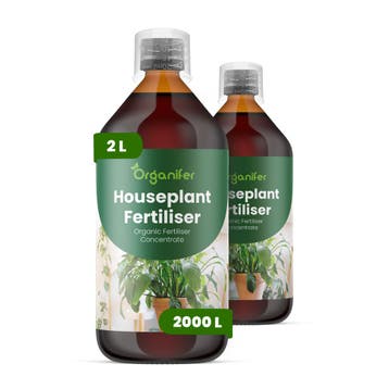 Kamerplanten vloeibare meststof - Set 2x1 liter, Verzenden, Mest