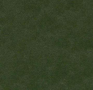 Forbo Marmoleum Walton 3359 bottle green, Nieuw