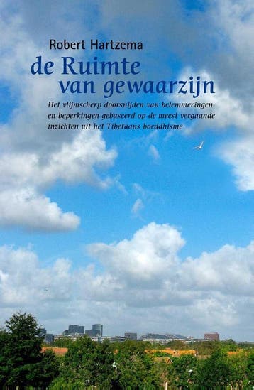 De ruimte van gewaarzijn - Robert Hartzema 9789063501013, Verzenden, Gelezen, Robert Hartzema