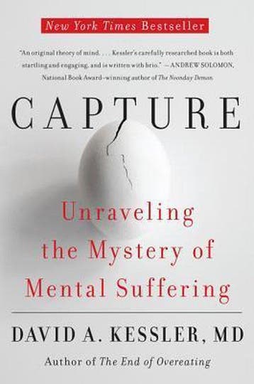 Capture - David A Kessler 9780062388520, Verzenden, Zo goed als nieuw, David A Kessler