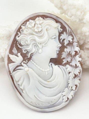 CASSIS MADAGASCARIENSIS - Cameo - Handgesneden camee