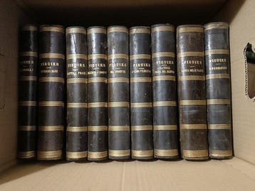 Luigi Figuier - Enciclopedia completa Luigi Figuier - 1881