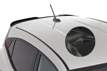 Achtervleugel met ABE voor Hyundai i10 (3e gen.) HF837-C, Verzenden, Nieuw