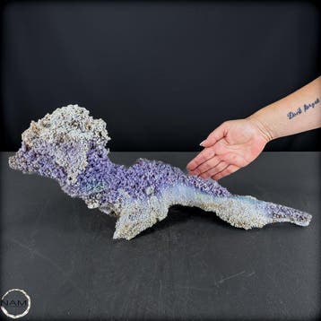 Druivenagaatsculptuur – filigrane natuurkunstwerk met