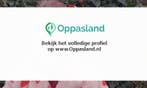 Eef zoekt een oppas in Grashoek voor 1 kind., Vacatures, Vacatures | Juridisch en Fiscaal