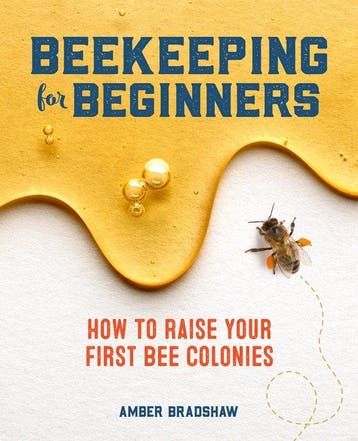 9781641524865 Beekeeping for Beginners: How to Raise Your..., Verzenden, Nieuw, Amber Bradshaw