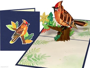 Rode zangvogel kardinaal | Siervogel pop-up kaart voor vo..., Verzenden, Nieuw