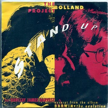 The Bolland Project Feat. Barclay James Harvest - Stand Up, Ophalen of Verzenden, Gebruikt