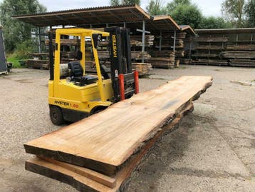 Eiken boomstambladen groot Europees, Eiken, Nieuw, Ophalen of Verzenden, Plank