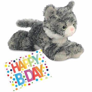 Pluche kat knuffel - grijs/wit - 20 cm - met, Verzenden, Nieuw