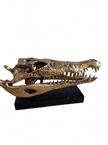 Jake Richmond (XX) - Saltwater Crocodile Skull 2.0