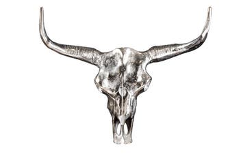Design schedel MATADOR 70cm zilver aluminium wanddecoratie -, Ophalen of Verzenden, Nieuw
