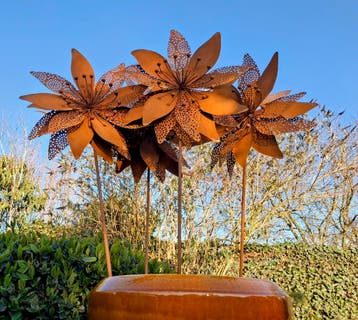 De mooiste grote roestbloemen bij the old way., Nieuw, Metaal, Overige typen