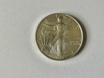 Verenigde Staten. 1 Dollar 2004, Silver Eagle, 1 oz (Zonder
