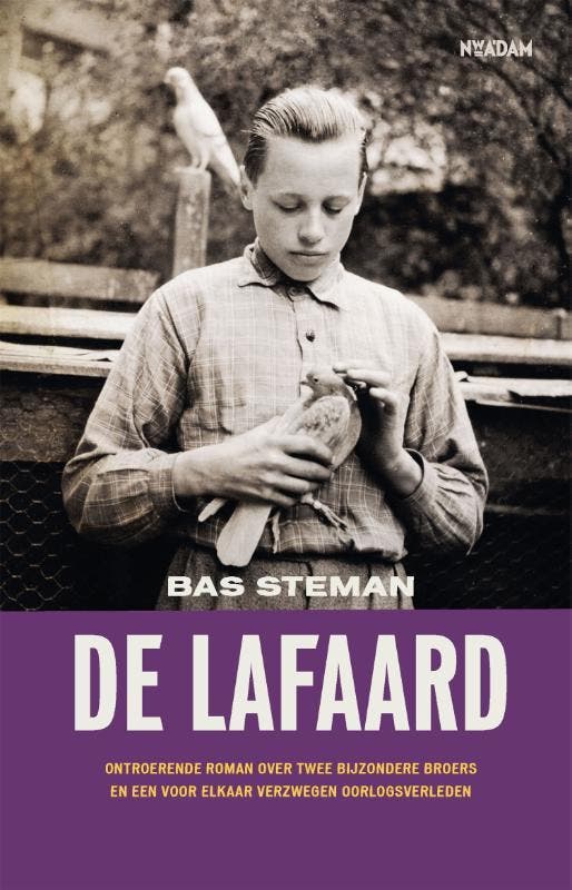 De lafaard 9789046828946 Bas Steman, Boeken, Romans, Zo goed als nieuw, Verzenden