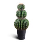 IvoQ Kunst Cactus XL 85 cm, Verzenden, Nieuw