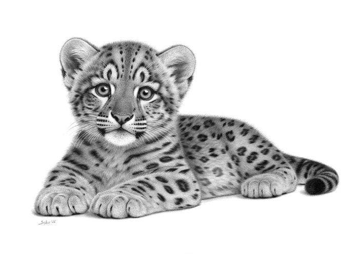 Schu - Snow Leopard Cub, Antiek en Kunst, Kunst | Designobjecten