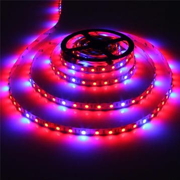 Grow light led strip - Rood/Blauw - 4:1 - 1 meter, Ophalen of Verzenden, Nieuw