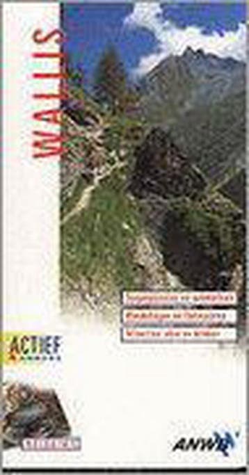 Wallis / ANWB actief & anders - Maarten Mandos 9789018009335, Verzenden, Zo goed als nieuw, Maarten Mandos