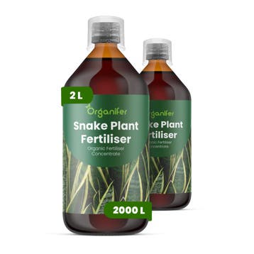 Vloeibare meststof voor sansevieria - 2x1 liter, Verzenden, Mest