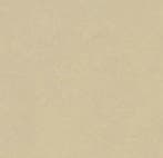 Forbo Marmoleum Concrete 3729 mica, Verzenden, Nieuw