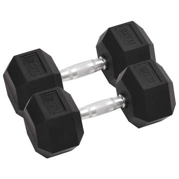 vidaXL Halters 2 st 25 kg totaal gietijzer, Verzenden, Nieuw