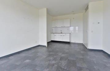 Te Huur Studio Riouwstraat In Den Haag, 20 tot 35 m², Den Haag