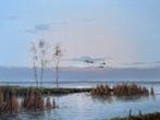 Gien van de Velde (1944-2023) - Landschap met eenden, Antiek en Kunst, Kunst | Schilderijen | Klassiek