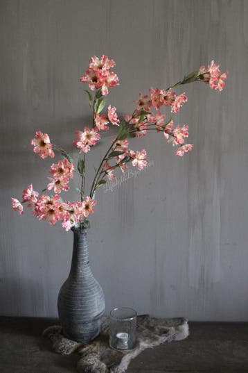 Brynxz grande Cornus old pink 100 cm, Ophalen of Verzenden, Nieuw