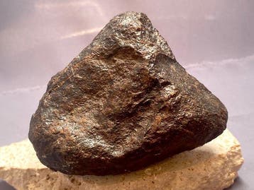 Chondriet Chondrite meteoriet - 509 g - (1), Verzamelen, Mineralen en Fossielen