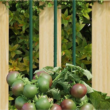 vidaXL Plantenstaken 30 st 115 cm staal groen, Tuin en Terras, Bloembakken en Plantenbakken, Verzenden, Nieuw, 60 cm of meer