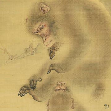 Monkey Mother and Child with Box - Mori Sosen