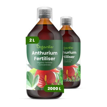 Anthurium Vloeibare Meststof - 2x1 Liter, Verzenden, Mest